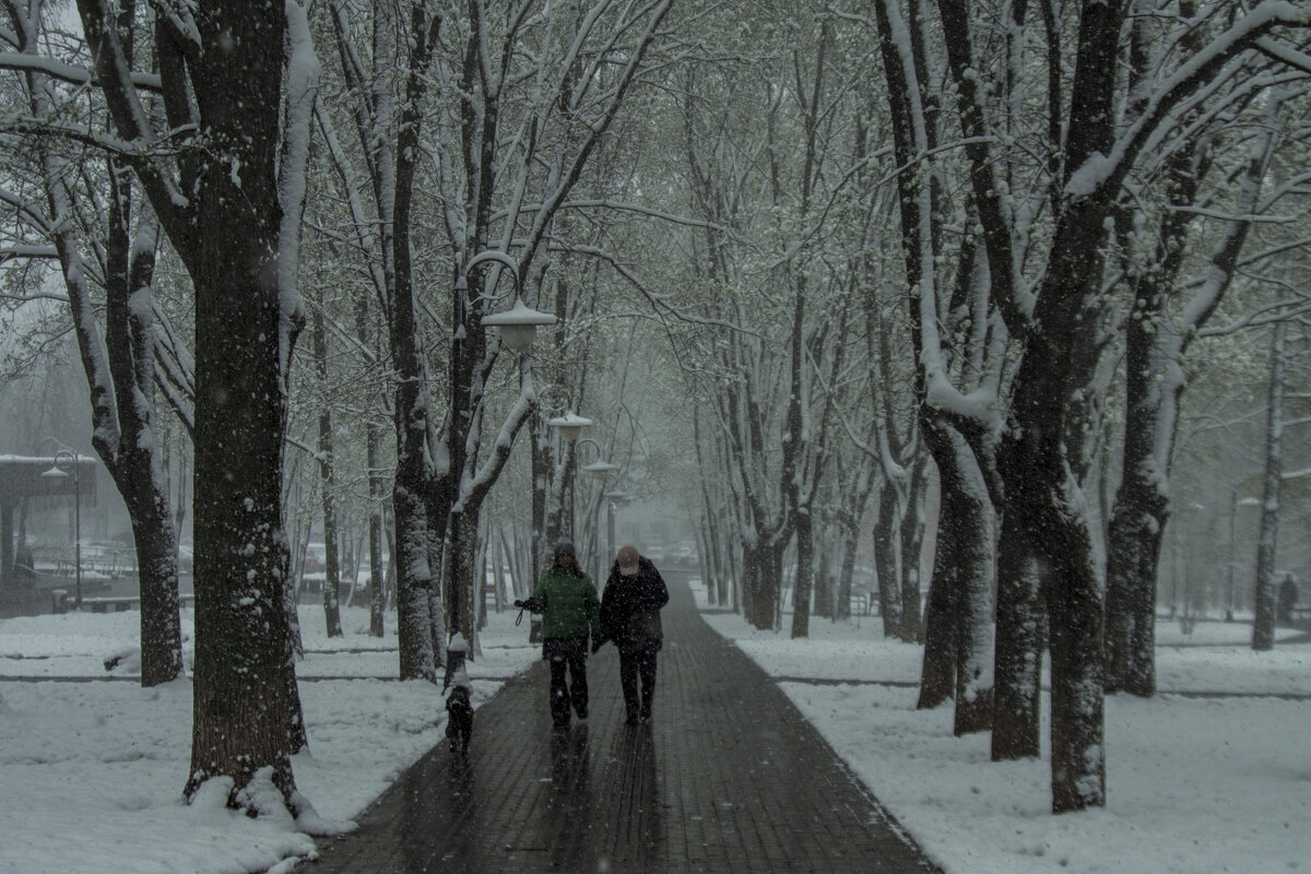 Мой город ИЖЕВСК - АПРЕЛЬ 30 2025 года - Владимир Максимов Мой город ИЖЕВСК - АПРЕЛЬ 30 2025 года - Владимир Максимов