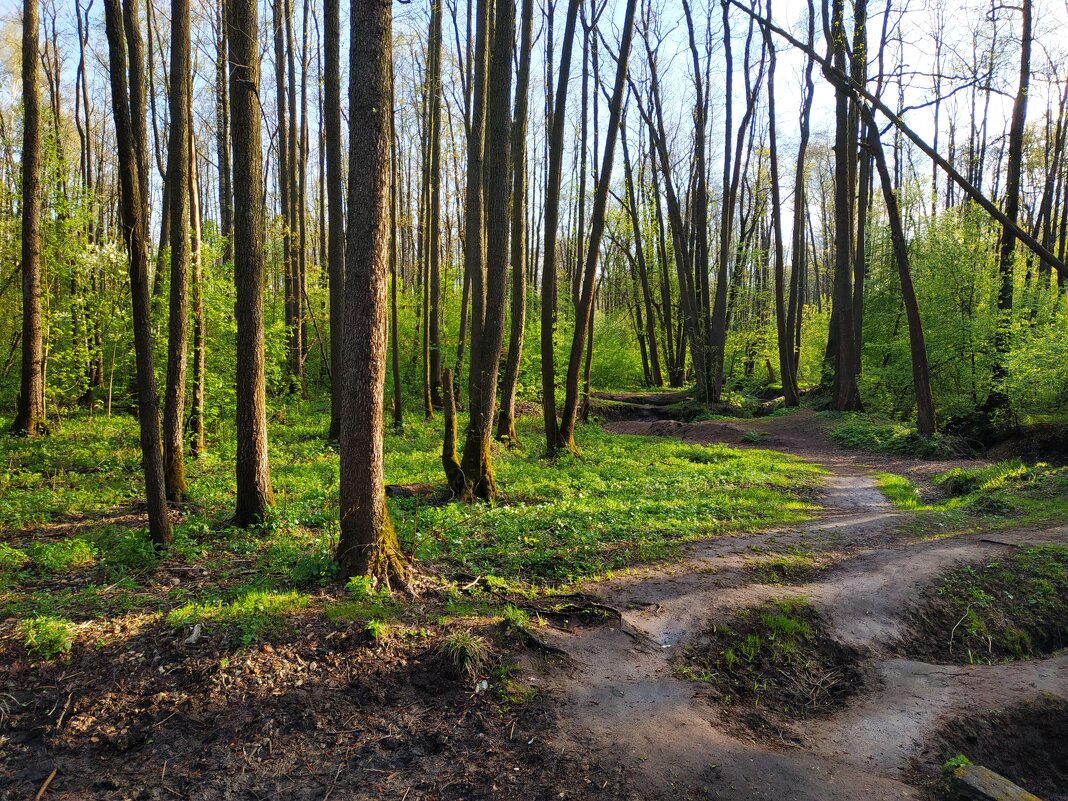 Но солнце надо было ловить - Андрей Лукьянов Но солнце надо было ловить - Андрей Лукьянов