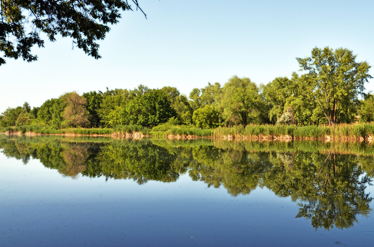 Зеркальная гладь озера - Сергей М Зеркальная гладь озера - Сергей М