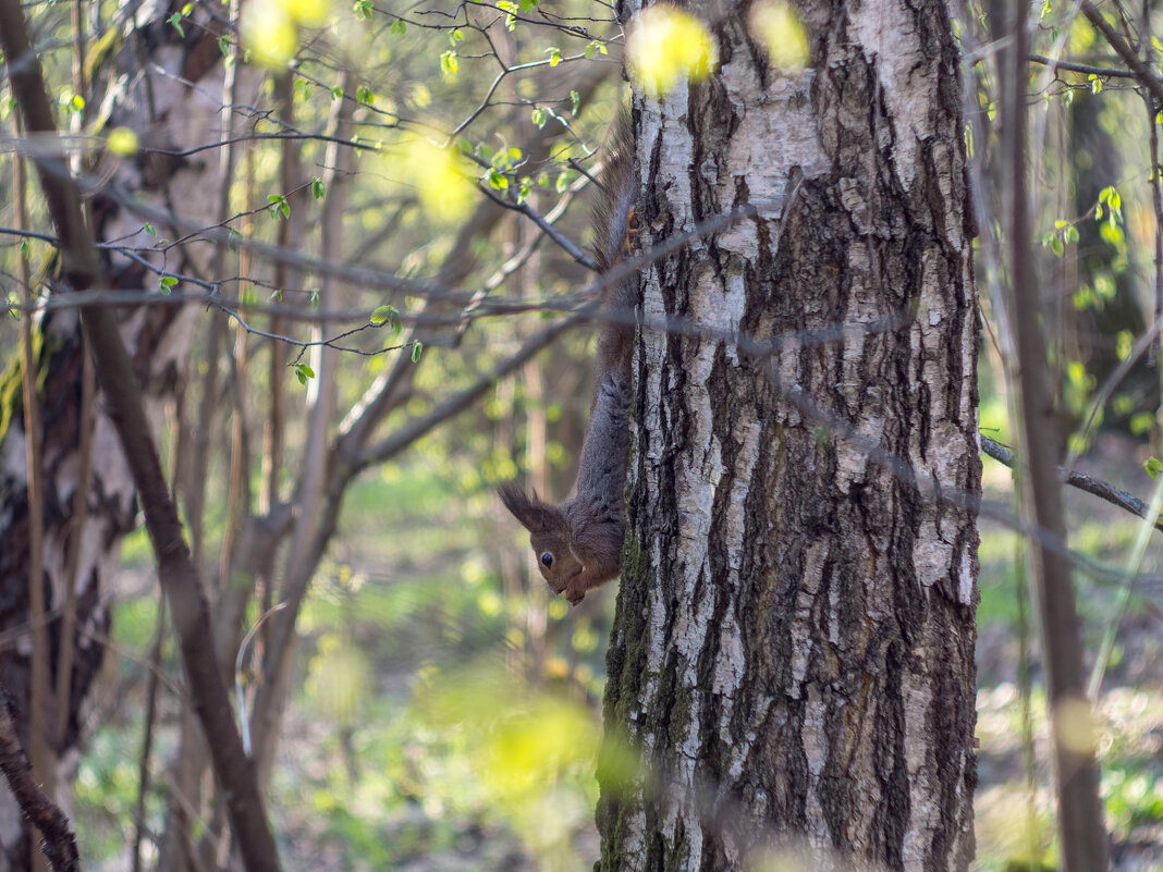 ___ - Yuriy V ___ - Yuriy V