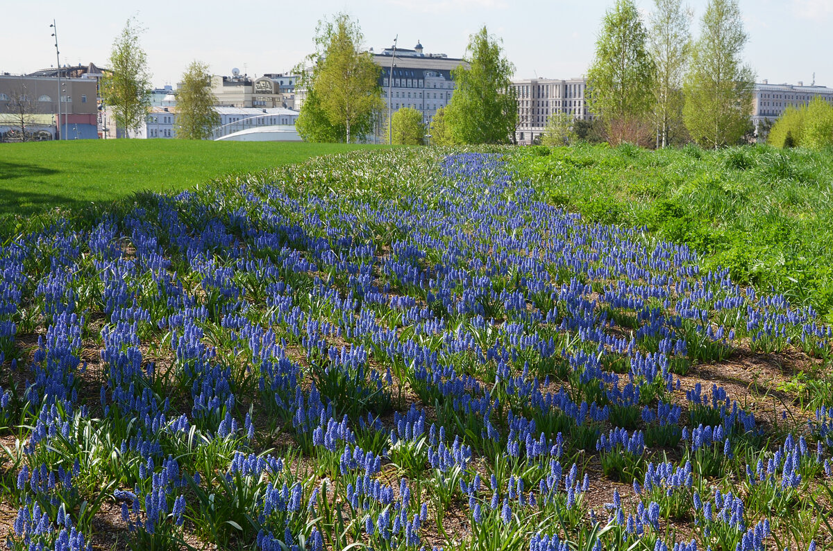 Москва. Парк Зарядье. Весна. - Наташа ***** Москва. Парк Зарядье. Весна. - Наташа *****