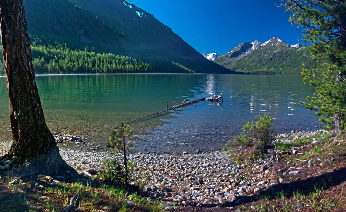Нижне-Мультинское - Виктор Фоменко