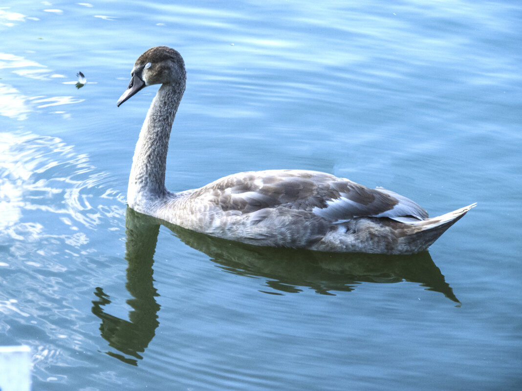Подросток - Валентин Семчишин