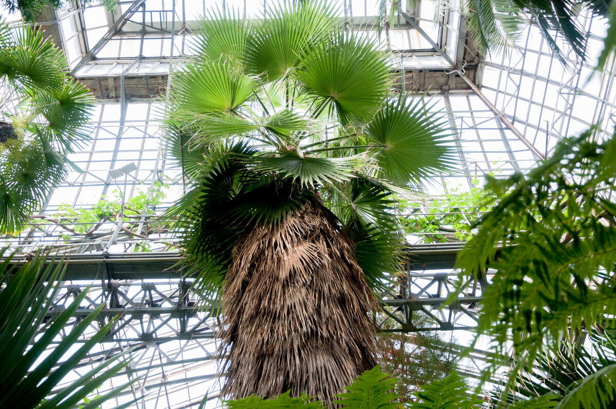 *** - Светлана . *** - Светлана .