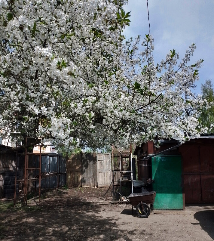 *** - Валентина Береснева