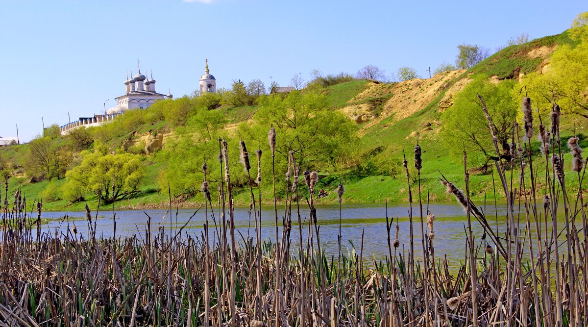 На берегах реки Зуша. - Борис Митрохин