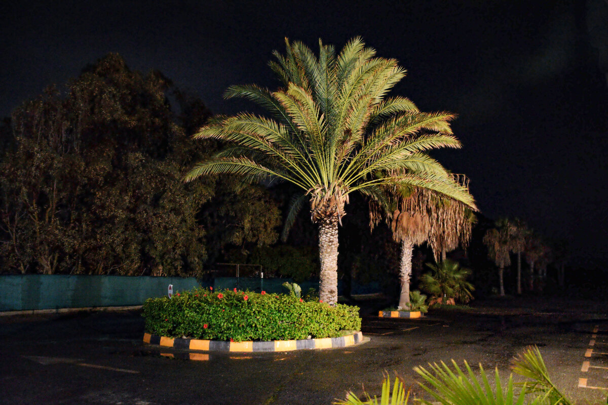 Почти ночь - Oleg4618 Шутченко