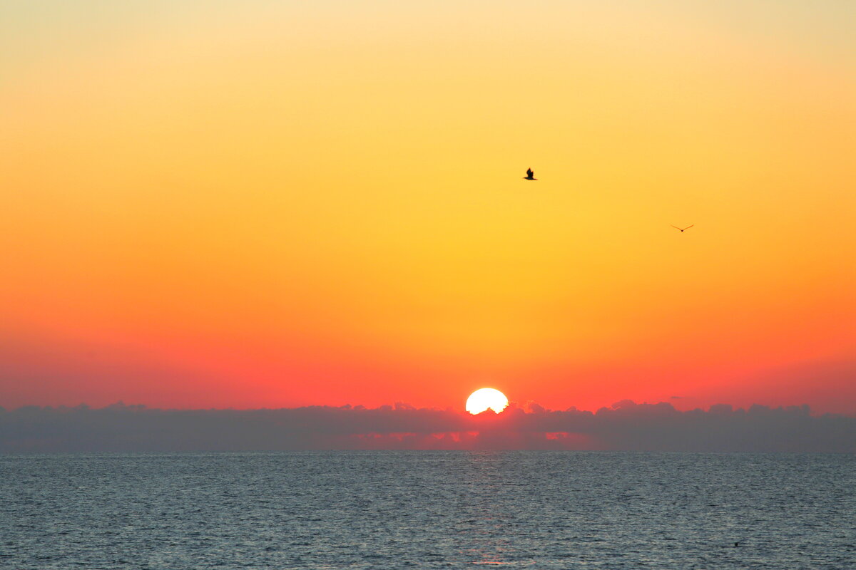 Полет на закате - Валерий Полет на закате - Валерий