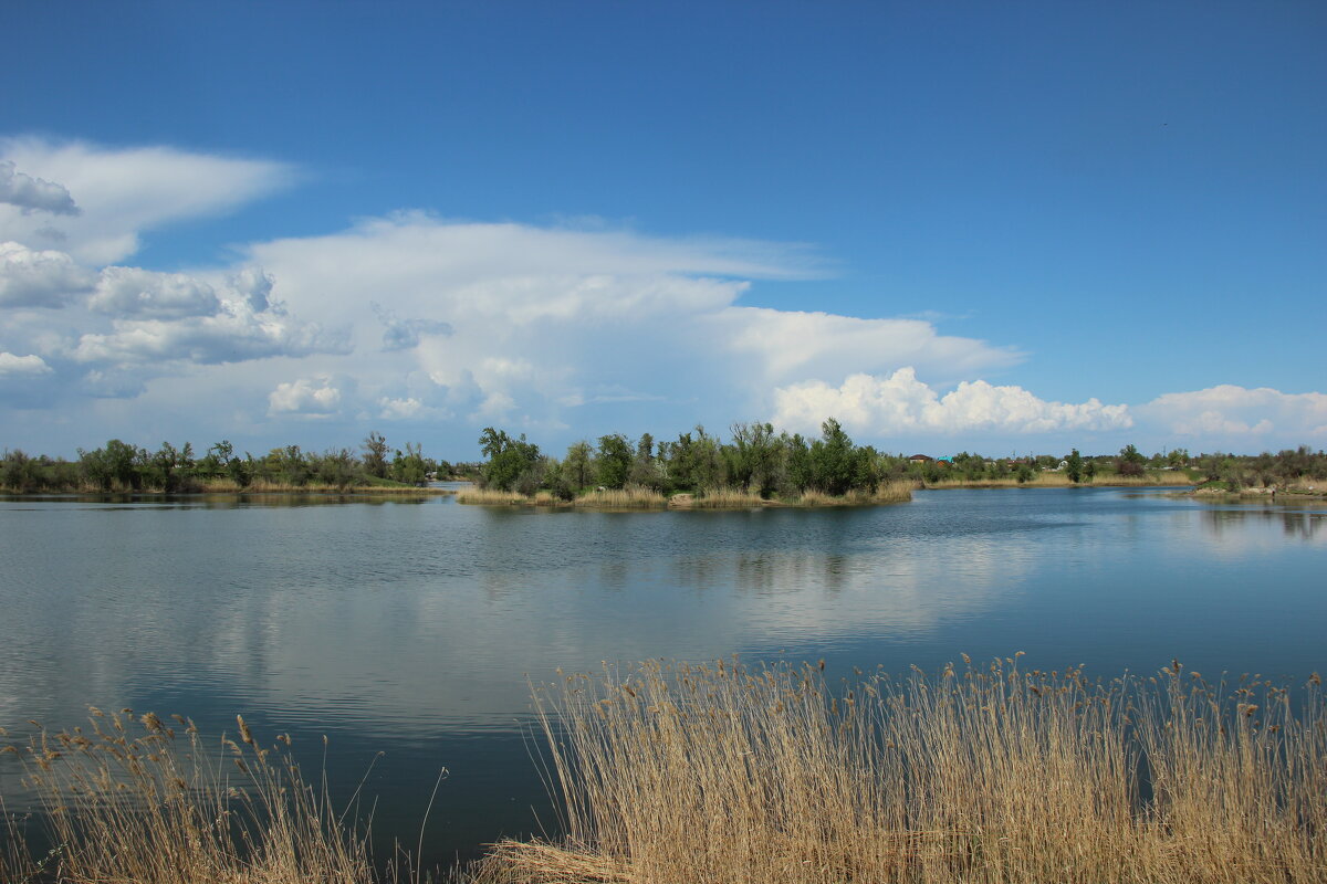 Весна. - Виктор 