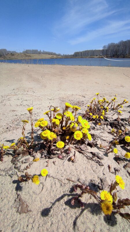 Апрель - Евгения Каравашкина