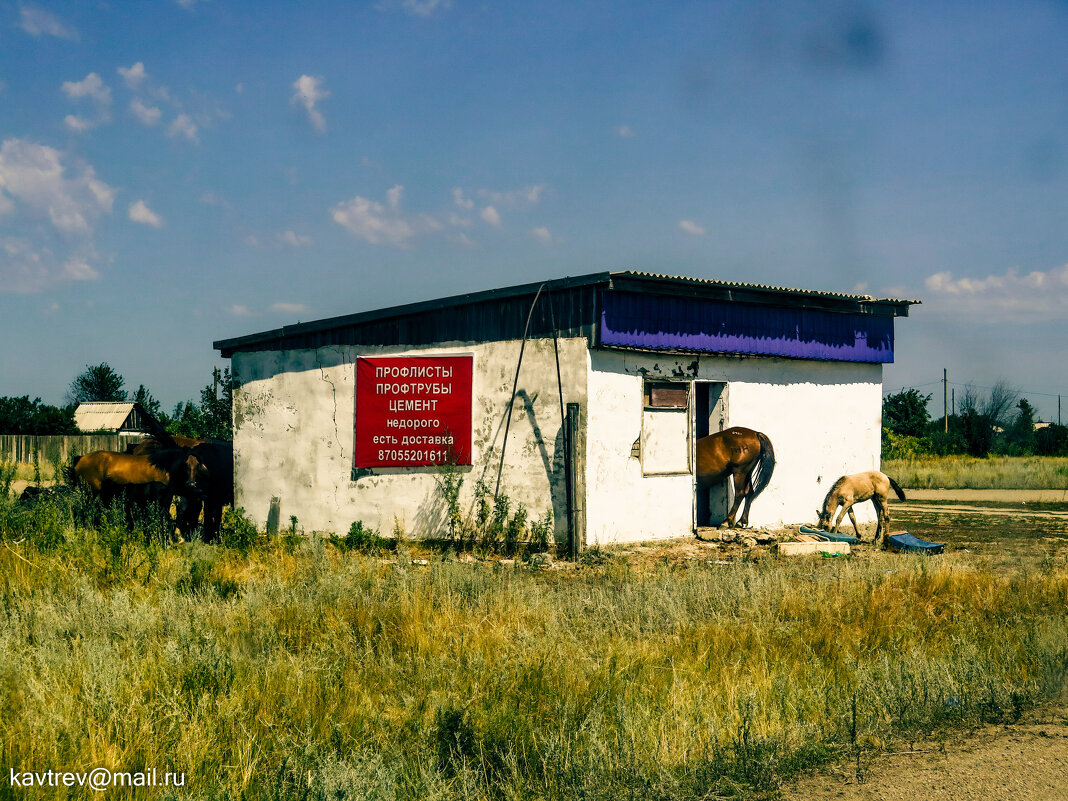ЕСТЬ ПРОФЛИСТ? ))))) - HART BAD