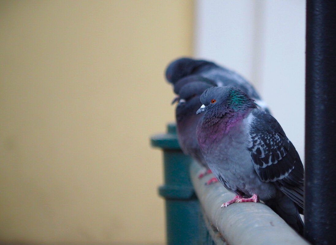 Холодно... - Магомед .