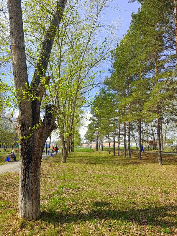 Вот и май на пороге ! С наступающим , друзья ! - Мила Бовкун