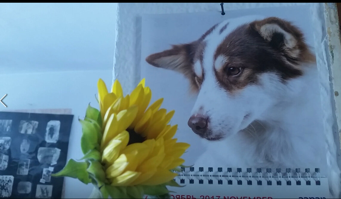 111 (65) - СТРЕН 