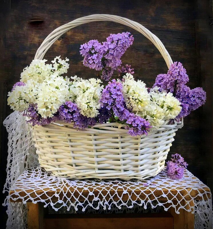 Апрель уходит... Майское настроение приходит... - TAMARA КАДАНОВА Апрель уходит... Майское настроение приходит... - TAMARA КАДАНОВА