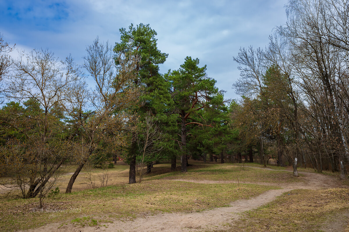 Весной на природе - Александр Синдерёв Весной на природе - Александр Синдерёв