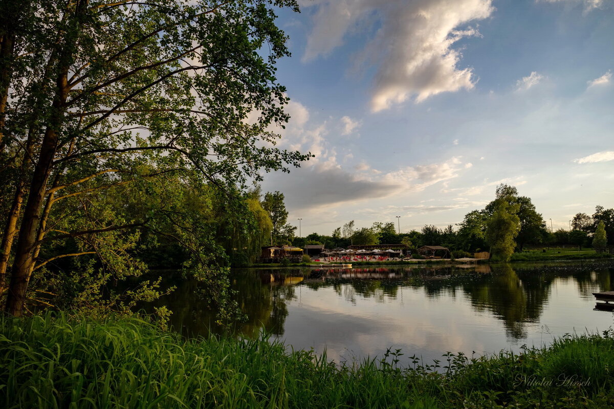 В майский вечер... - Николай Гирш