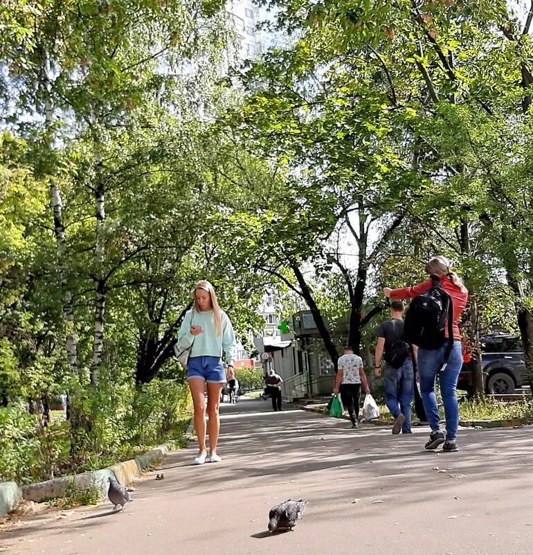 *** - Владимир Захаров