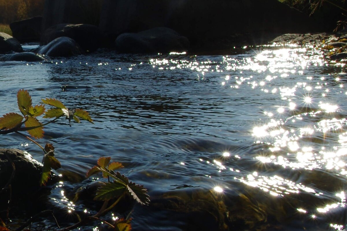 Ручей - Сергей Швечков