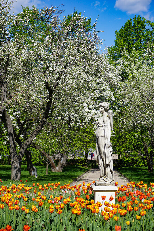 Весна в Коломенском - Ольга 