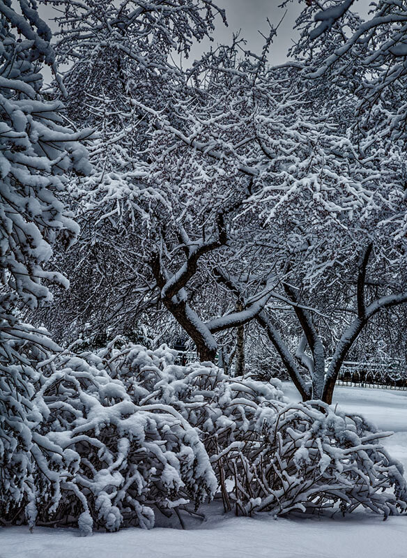 Пейзаж - SanSan 