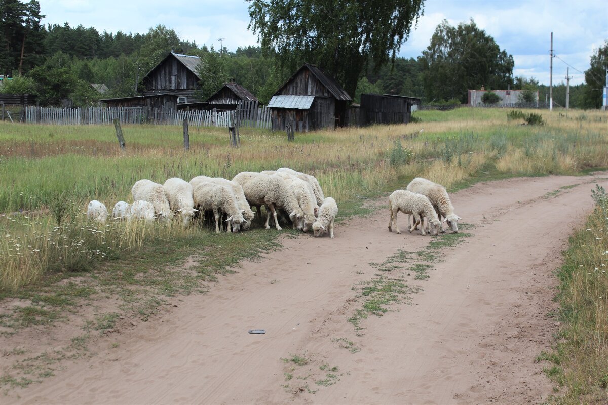 Поселок Камский - Марсель Валеев Поселок Камский - Марсель Валеев