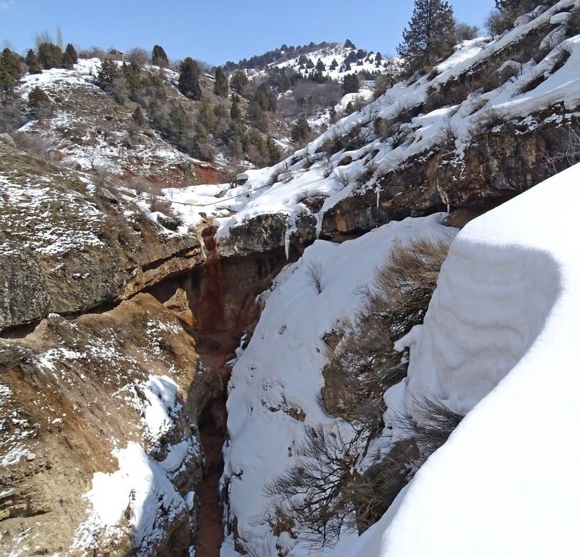 ВОСКРЕСНАЯ ПРОГУЛКА. - Виктор Осипчук ВОСКРЕСНАЯ ПРОГУЛКА. - Виктор Осипчук