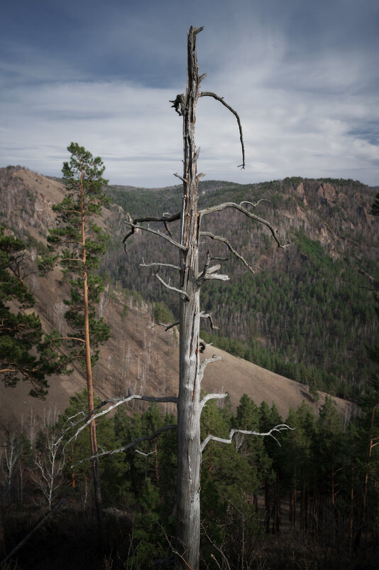 * - Александр Иванов