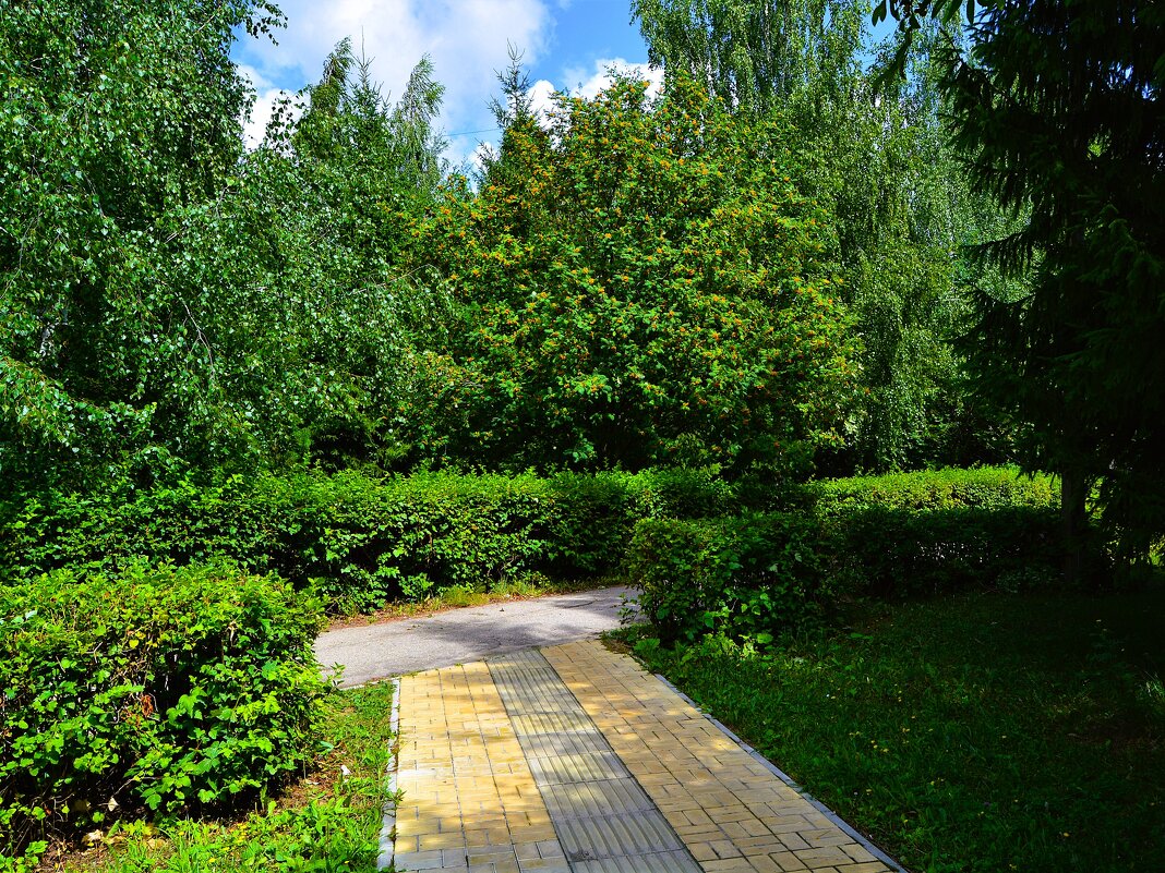 Чебоксары. Сквер имени Анатолия Пуганина. - Пётр Чернега