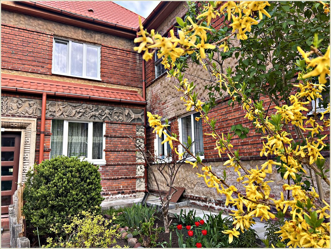 Палисадник. - Валерия Комова Палисадник. - Валерия Комова