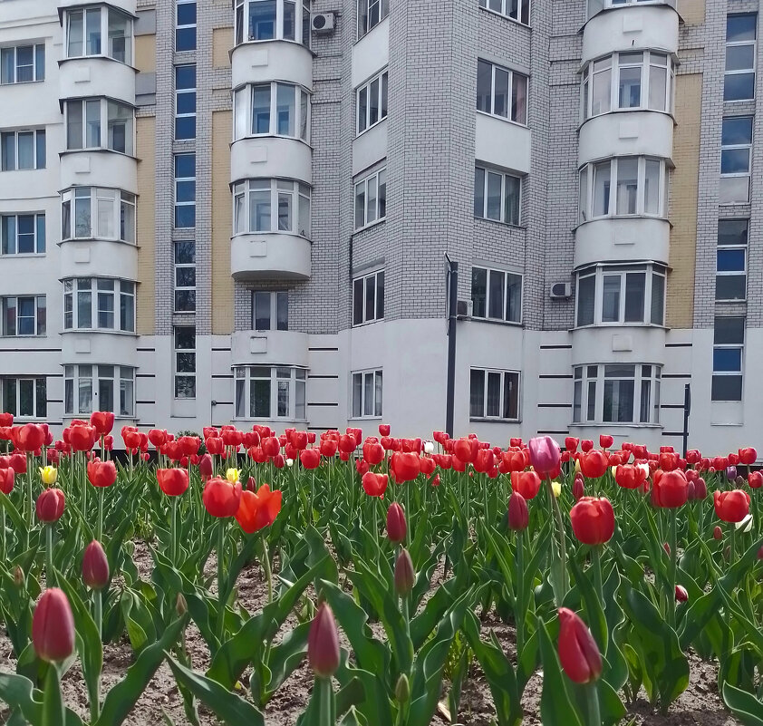 *** - Валентина Береснева