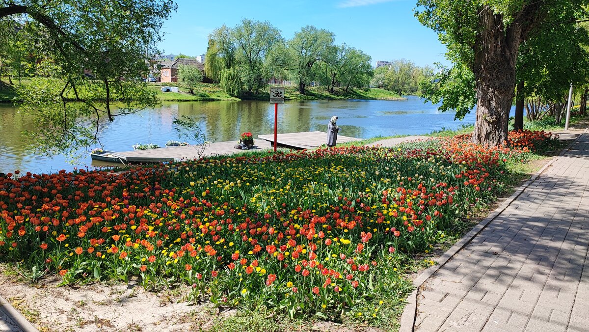 ,,, - Сергей Тимоновский ,,, - Сергей Тимоновский