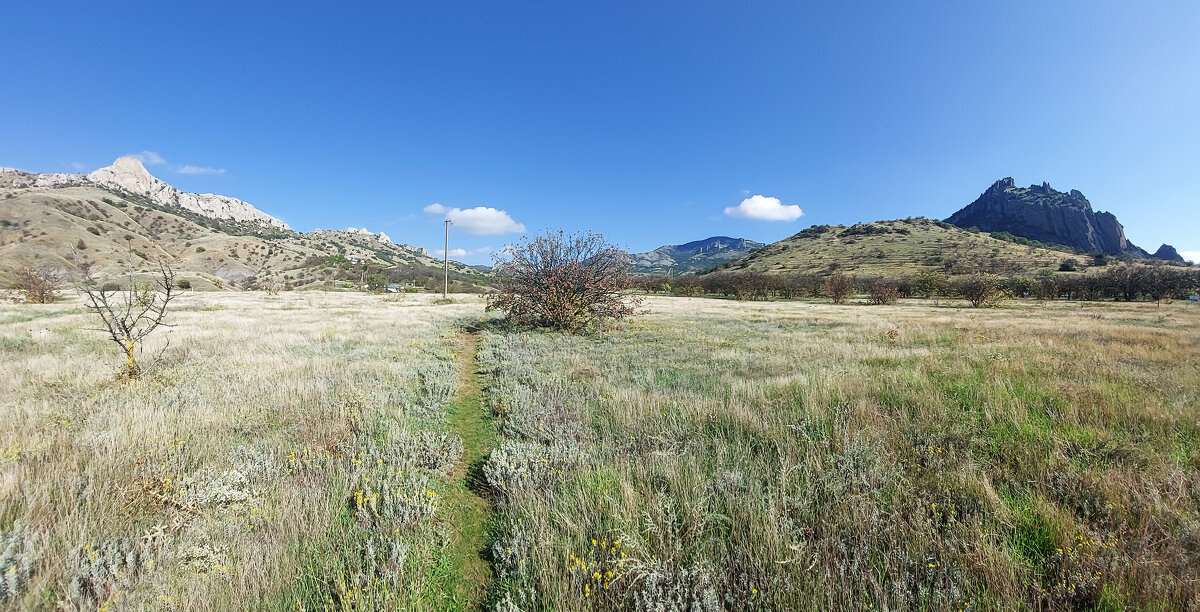 поля полыни - ИРЭН@ .