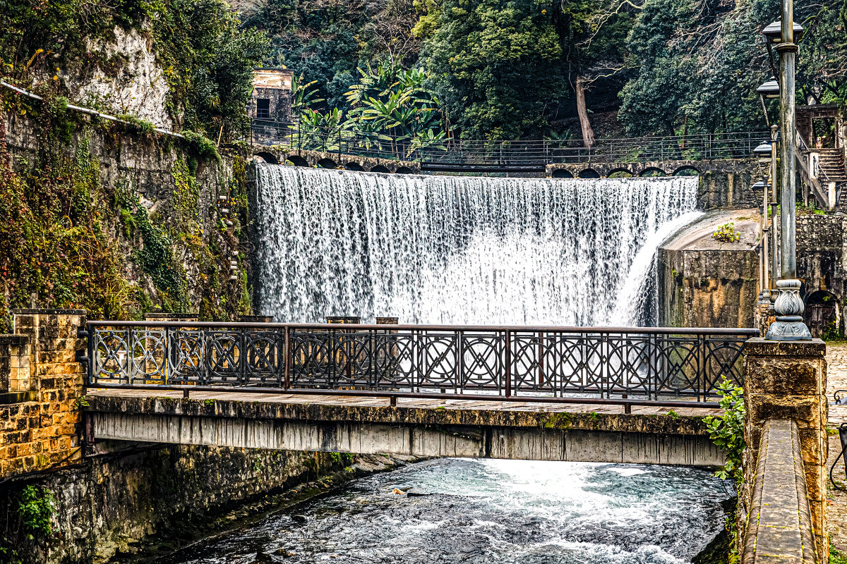 Собака - Eugene * Собака - Eugene *