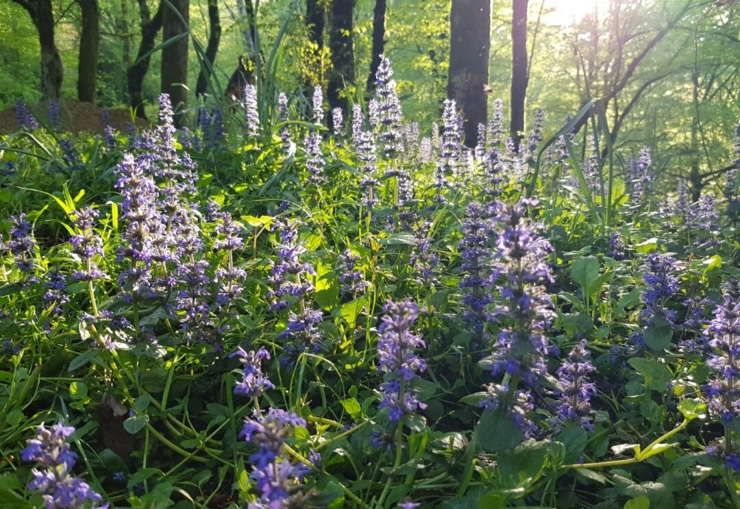 Утро - Tata Wolf