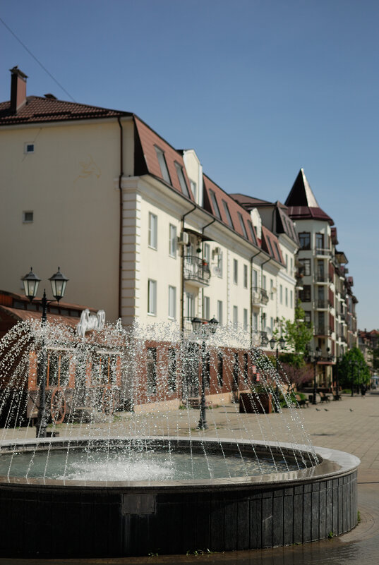 С работающими фонтанами повеселее стало) - Referee (Дмитрий)