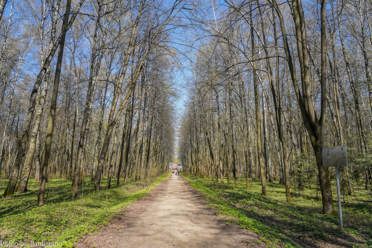 В весеннем парке... - Владимир Жданов В весеннем парке... - Владимир Жданов
