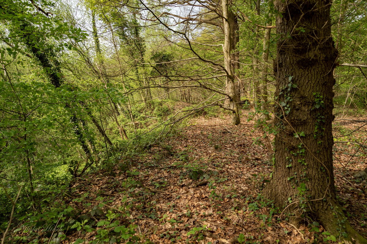 Забурился не туда... - Николай Гирш Забурился не туда... - Николай Гирш