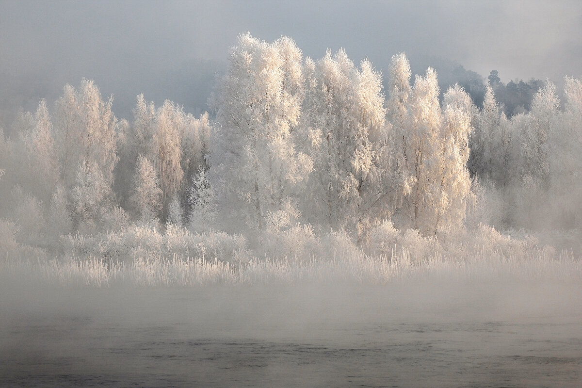 Белоснежные берёзки - Александр Попов Белоснежные берёзки - Александр Попов