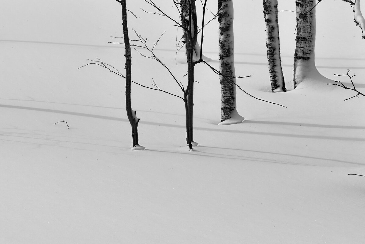 Апрельская метель закончилась - Роман Пацкевич Апрельская метель закончилась - Роман Пацкевич