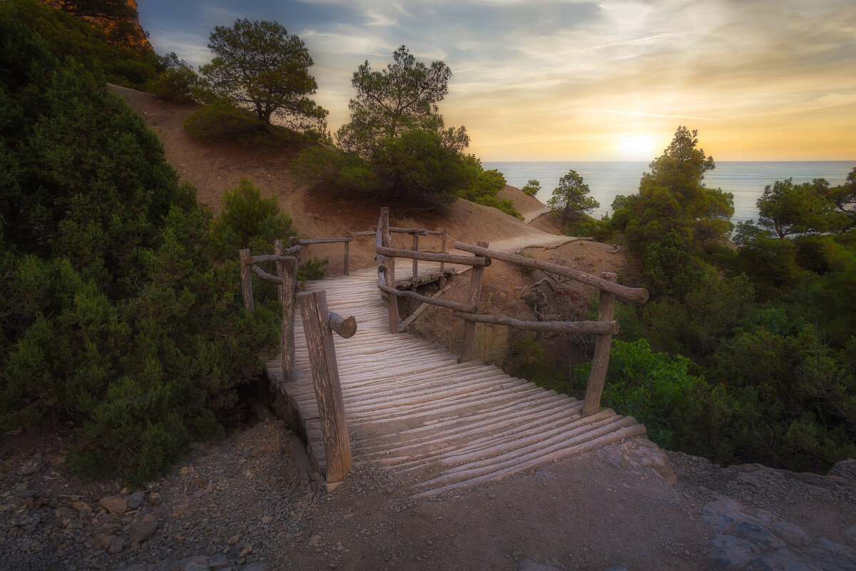 Дорога к морю - Alexander Asedach Дорога к морю - Alexander Asedach