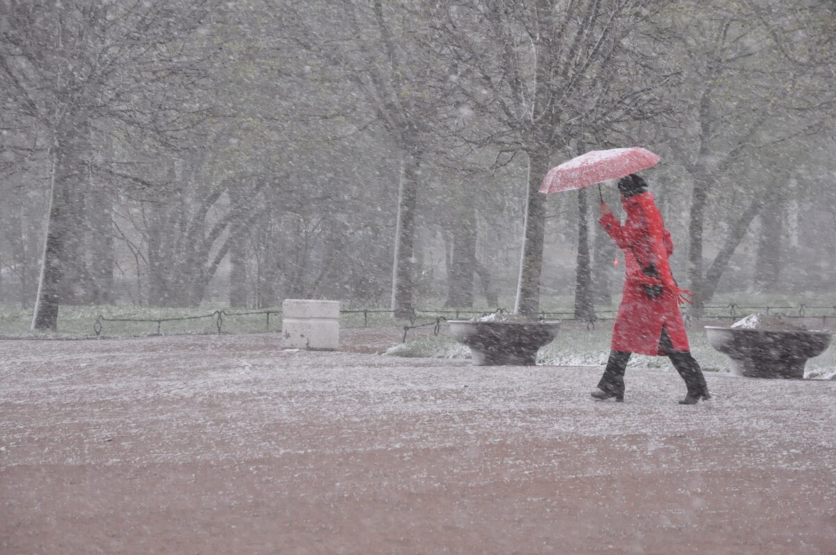 Весенний снегопад. - Харис Шахмаметьев Весенний снегопад. - Харис Шахмаметьев