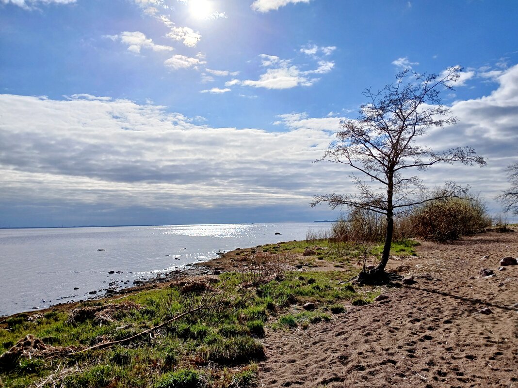 Не нужен нам берег турецкий...! - Лия ☼ Не нужен нам берег турецкий...! - Лия ☼