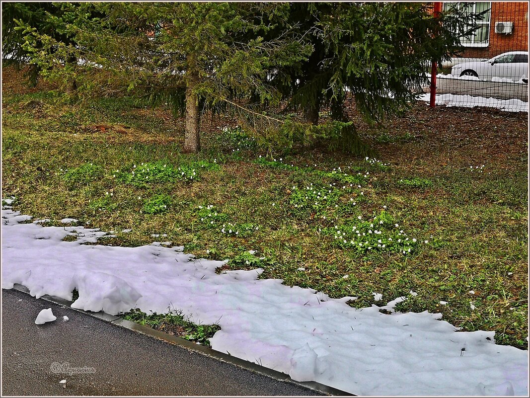 Тридцатое апреля - Aquarius - Сергей Тридцатое апреля - Aquarius - Сергей