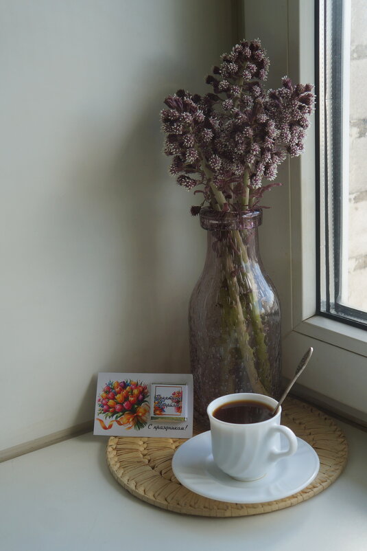 белокопытник - zavitok * белокопытник - zavitok *