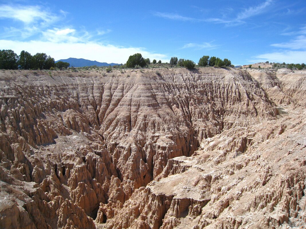 Кафедральное ущелье в Неваде, США. - unix (Илья Утропов) Кафедральное ущелье в Неваде, США. - unix (Илья Утропов)