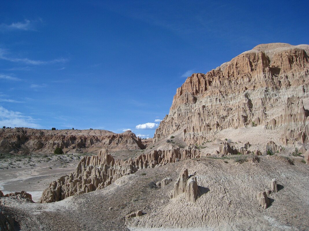 В заповеднике Государственный парк Катедрал Гордж. - unix (Илья Утропов) В заповеднике Государственный парк Катедрал Гордж. - unix (Илья Утропов)