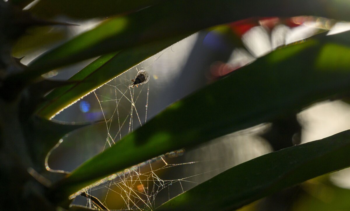 круиз по балкончику - Осень 