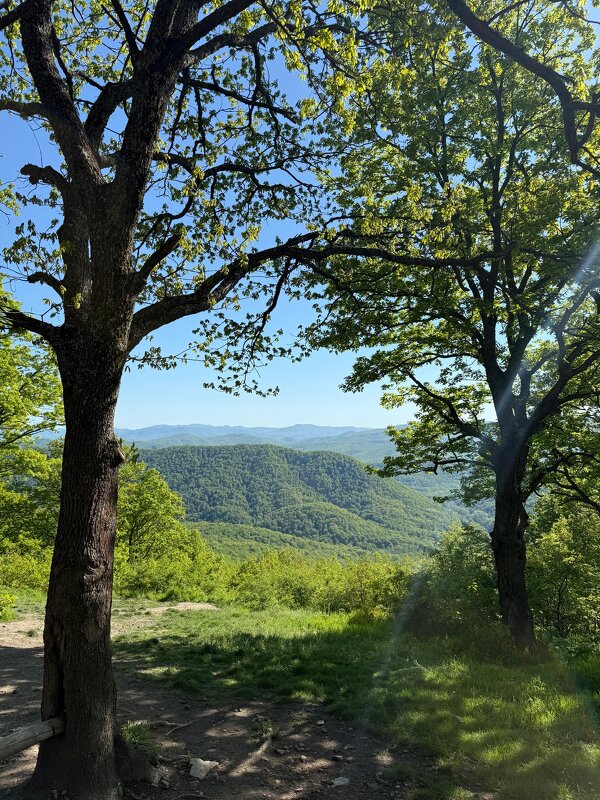 Предкавказье - Сергей Б. Предкавказье - Сергей Б.