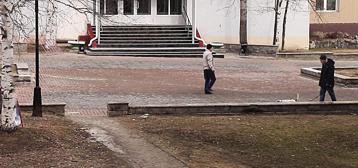 В утренний час 1 мая...... - Владимир 